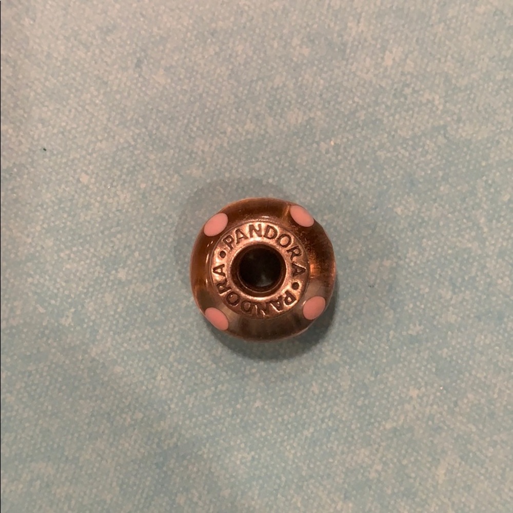 Pandora Pink with Painted floral charm